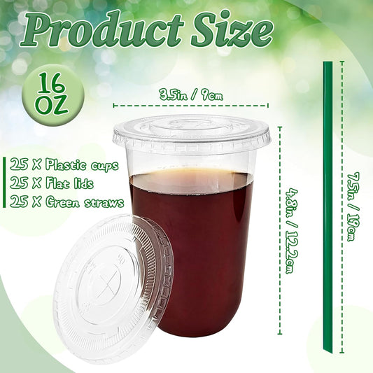 Qinsihwn 25 Set 16oz Plastic Cups with Flat Lids and Straws,Disposable Plastic Iced Coffee Cup,Disposable Clear Drinking Cups for Cold Beverages,Milkshakes,Smoothies