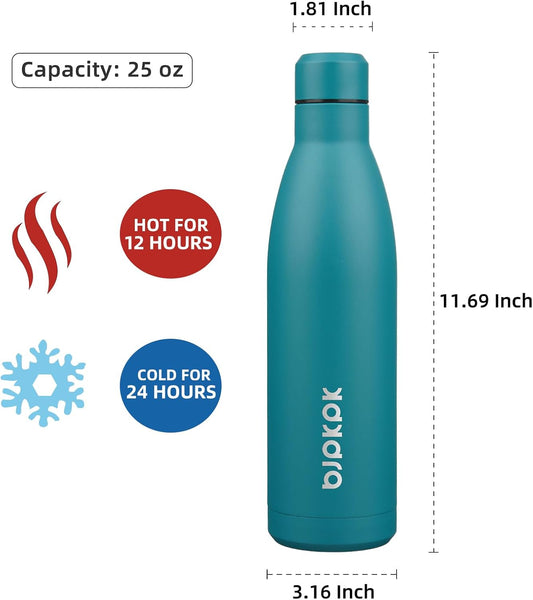 25 oz Insulated Stainless Steel Water Bottle, Metal Sports Flask