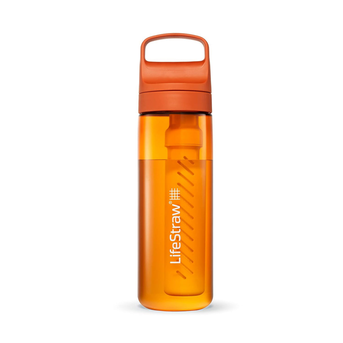 Go Series – BPA-Free Water Filter Bottle for Travel and Everyday use removes Bacteria, parasites and microplastics, Improves Taste, 22oz; Clear