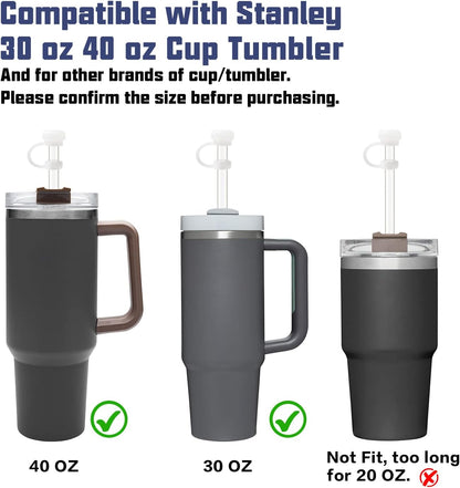 Replacement Straw Compatible with Stanley 40 oz 30 oz Cup Tumbler, 6 Pack Reusable Straw with Cleaning Brush, Plastic, Clear