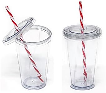 Reusable Double Wall Insulated Acrylic Tumbler Cups with Straw and Lid, 2 Set Package (16 Oz, Clear Straws) by