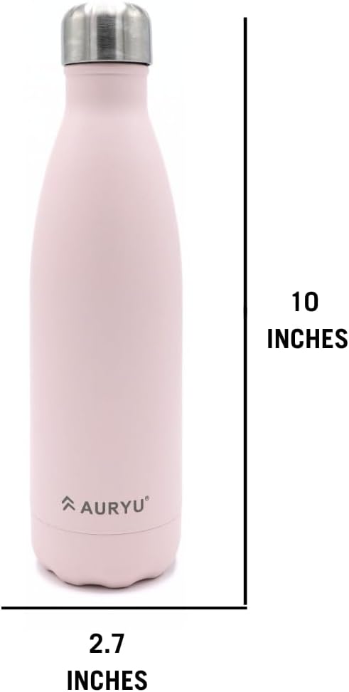 Best in Class Triple-Walled Insulated Stainless Steel Water Bottle, Keeps your Drinks Cold for up to 24 Hours and Hot for up to 12 Hours, Leak Proof, Make a Difference in the World, Black, 17oz