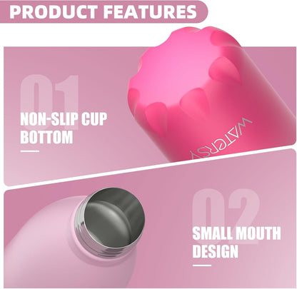 Stainless Steel water bottle,17oz Insulated Water Bottles