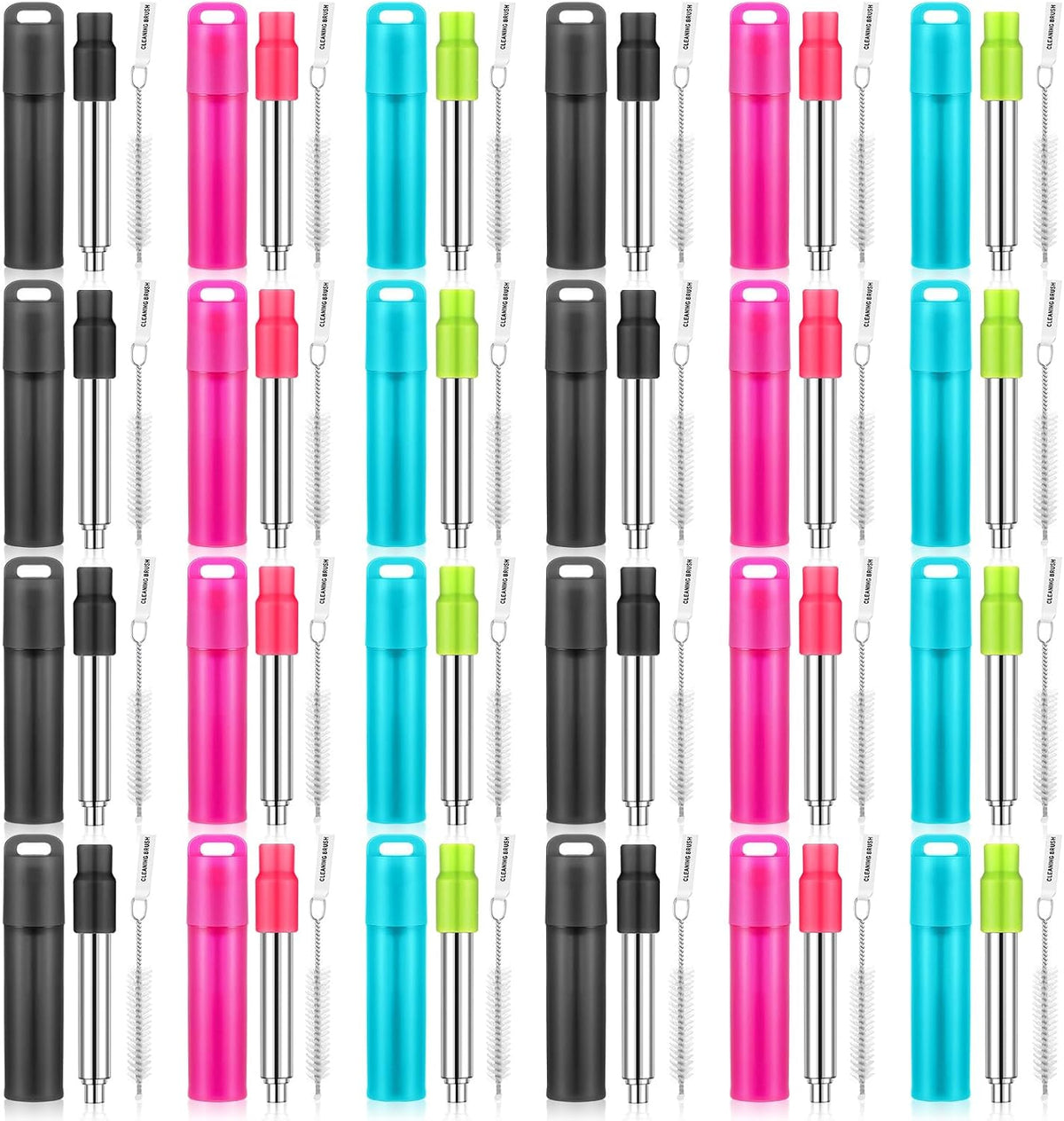 Collapsible Metal Reusable Straws with Case, Cruise Travel