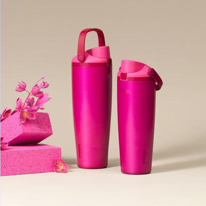 Owala FreeSip Sway Insulated Stainless Steel Water Bottle with Two-Way Spout, Built-In Straw and Bucket Handle, Made for Travel, School, and Sports, 30oz, BPA Free, Leak Proof, Daybreak