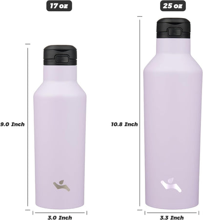 Konokyo Insulated Water Bottle with Straw,25 OZ Double Wall Vacuum Stainless Steel Water Flask with 2 Lids,Black