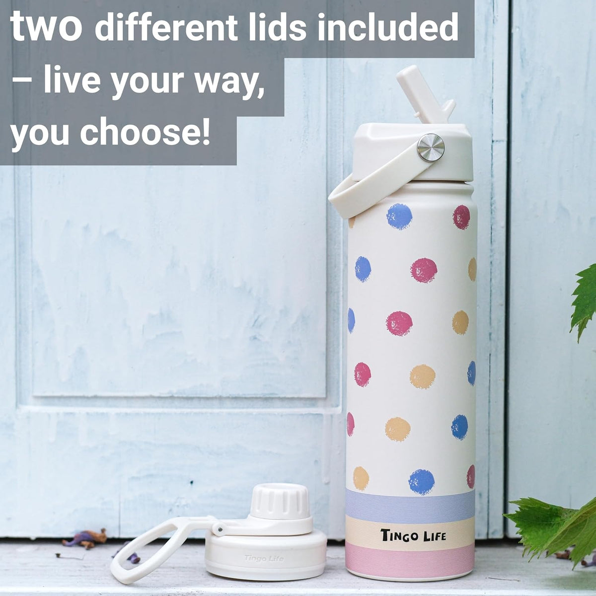 25oz Insulated Stainless Steel Aesthetic Cute Water Bottle - 2 Lids Included (Straw + Sport Handle), Leakproof BPA-Free, Dreamy Cream Cute Floral Design, Perfect Gym/Yoga/Office Companion