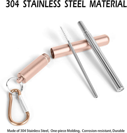Collapsible Stainless Steel Drinking Straws with Aluminum Case, Cleaning Brush, and Keychains（Black+Silver）