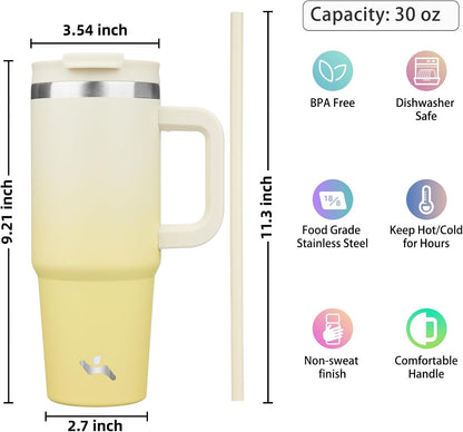 Konokyo 30 oz Tumbler with Handle and 2 Straws,2 in 1 Lid Insulated Water Bottle Stainless Steel Travel Coffee Mug,Sky