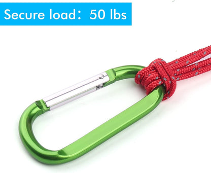 CampTek Carabiner Caribeaner Clip,3" Large Aluminum D Ring Shape Carabeaner with Keyring Keychain Hook