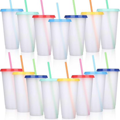 Honeydak 15 Pack Tumbler with Straw and Lid Bulk Cups for Gifts Water Bottle Iced Coffee Travel Mug Cup Reusable Plastic Tumblers for Party Birthdays 24-27 oz (Solid Color)