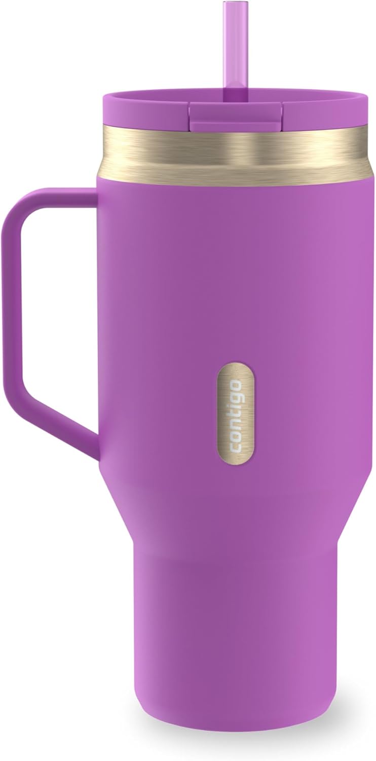 Contigo SnapSeal 30 oz Stainless Steel Vacuum-Insulated Tumbler with Handle & Reusable Straw, Leakproof AutoClose Lid, Cup Holder Friendly, BPA-Free & Lead-Free, Dishwasher Safe