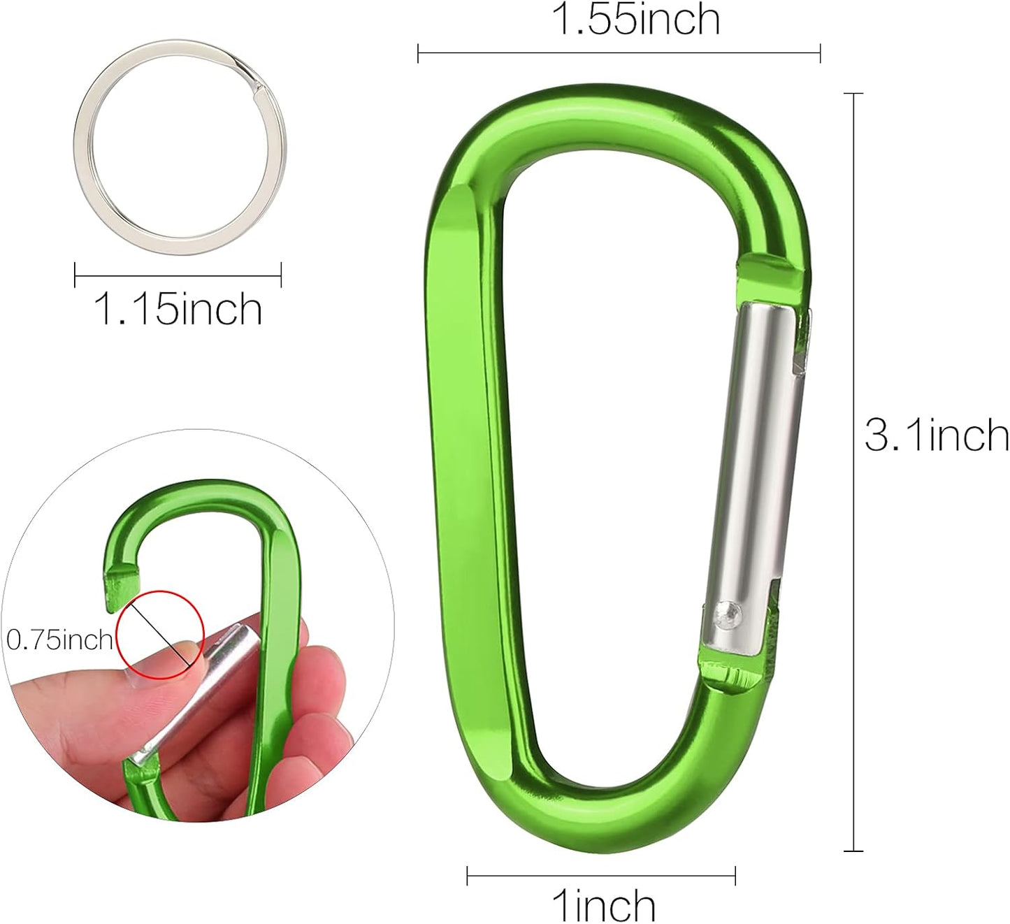 CampTek Carabiner Caribeaner Clip,3" Large Aluminum D Ring Shape Carabeaner with Keyring Keychain Hook