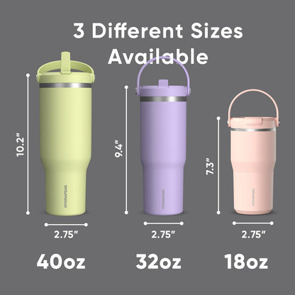 Hydrapeak Nomad 32oz Insulated Stainless Steel Travel Tumbler with Handle & Straw Lid, Leakproof, Cupholder Friendly, Keeps Drinks Cold 24 Hours, Reusable Bottle for Daily Hydration (Pale Sage)