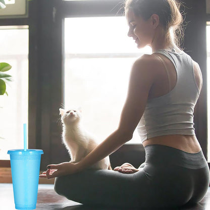 Suertestarry Tumbler with Straw and Lid,Water Bottle Iced Coffee Travel Mug Cup,Reusable Plastic Cups,Perfect for Parties,Birthdays,24oz-5 Pack (Rainbow, 5pack)