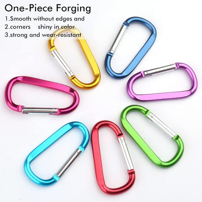 CampTek Carabiner Caribeaner Clip,3" Large Aluminum D Ring Shape Carabeaner with Keyring Keychain Hook