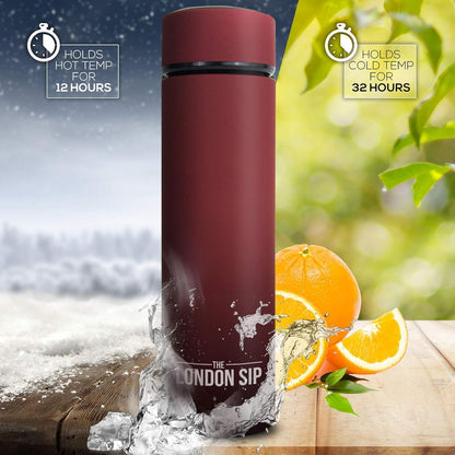 The London Sip Multi-Purpose Travel Mug and Tumbler Fruit Infused Flask Hot and Cold Double Wall Stainless Steel Thermos with Extra-Long Infuser, Purple