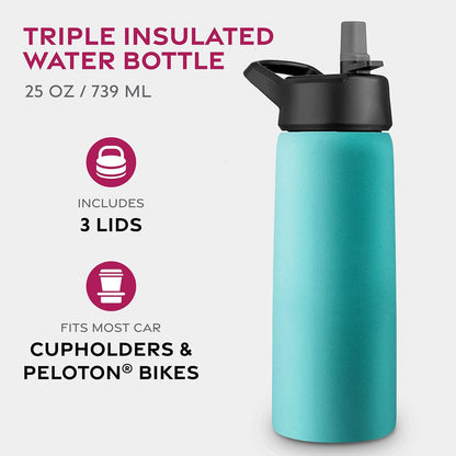 FineDine Water Bottle - Stainless Steel Insulated Water Bottle with Straw Lid, Flip Lid & Wide-Mouth Cap - Keeps Hot and Cold - 25 Oz / 739ml - Dreamy Purple