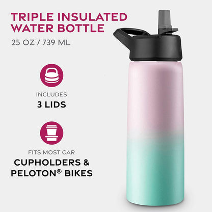 FineDine Water Bottle - Stainless Steel Insulated Water Bottle with Straw Lid, Flip Lid & Wide-Mouth Cap - Keeps Hot and Cold - 25 Oz / 739ml - Dreamy Purple