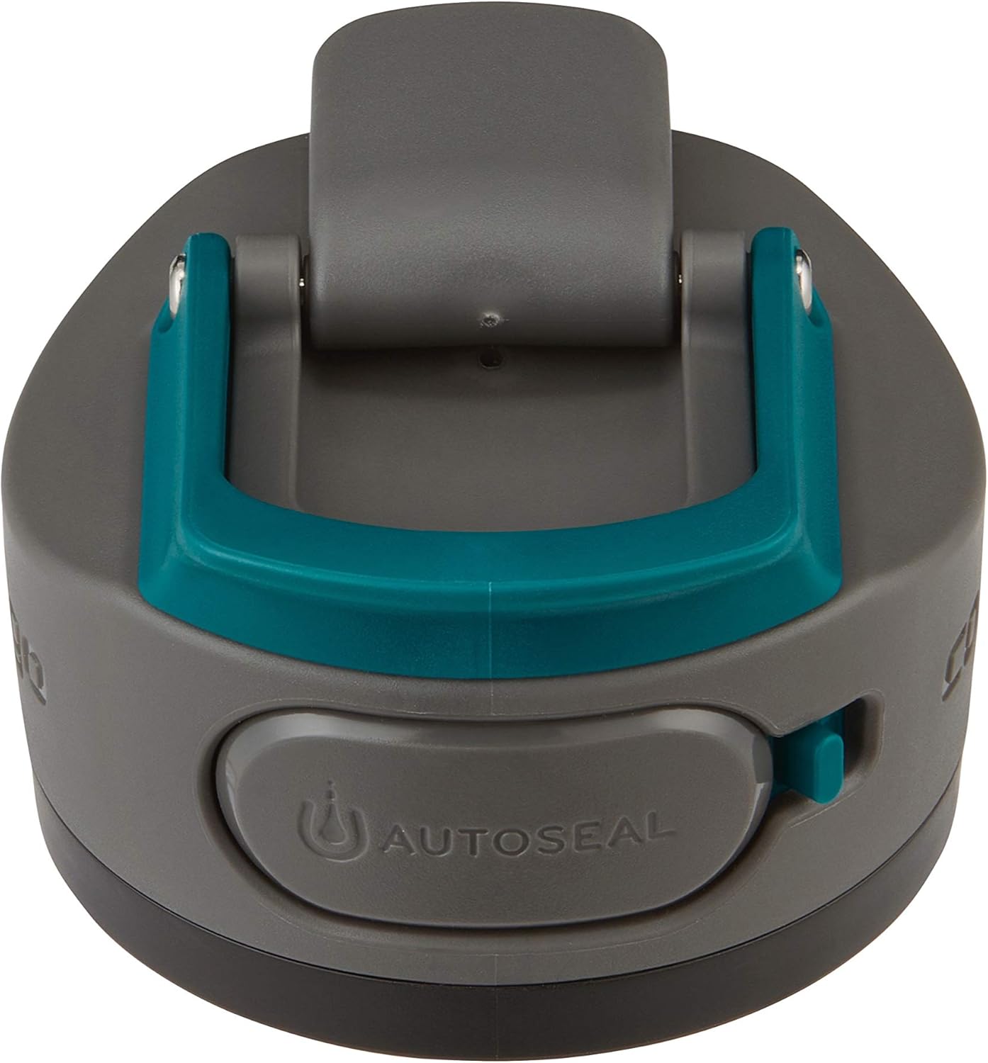 Contigo Cortland Chill 2.0 Vacuum-Insulated Stainless Steel Water Bottle, Spill-Proof Sip Technology, Interchangeable Lid, 24oz, Steel/Licorice, Perfect for Fitness Travel Everyday Use
