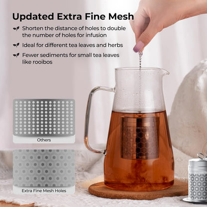 Reinmoson Tea Strainers for Loose Tea, Extra Fine Mesh Tea Infuser, 304 Stainless Steel & Updated Slim Threaded Lid, Loose Leaf Tea Steeper for Black Tea, Rooibos, etc