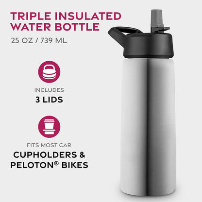 FineDine Water Bottle - Stainless Steel Insulated Water Bottle with Straw Lid, Flip Lid & Wide-Mouth Cap - Keeps Hot and Cold - 25 Oz / 739ml - Dreamy Purple