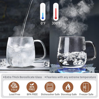 DOPUDO Glass Tea Cup with Infuser and Lid, 17.6oz/520ml Large Borosilicate Teacup,Tea Glass, Clear Mug for Loose Leaf Tea, Blooming Tea, Microwave & Dishwasher Safe - Tea Maker Gift for Birthday.