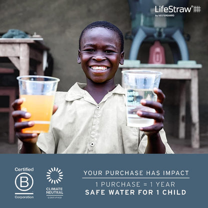 LifeStraw Personal Water Filter for Hiking, Camping, Travel, and Emergency Preparedness