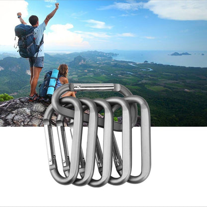 CampTek Carabiner Caribeaner Clip,3" Large Aluminum D Ring Shape Carabeaner with Keyring Keychain Hook
