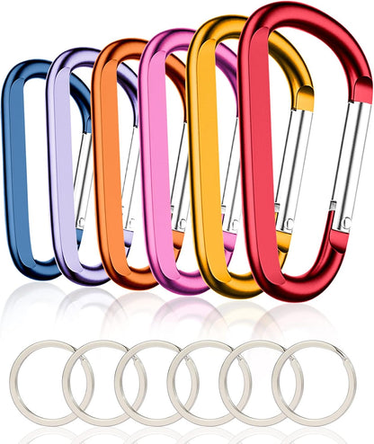 CampTek Carabiner Caribeaner Clip,3" Large Aluminum D Ring Shape Carabeaner with Keyring Keychain Hook