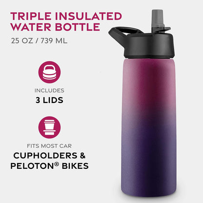 FineDine Water Bottle - Stainless Steel Insulated Water Bottle with Straw Lid, Flip Lid & Wide-Mouth Cap - Keeps Hot and Cold - 25 Oz / 739ml - Dreamy Purple