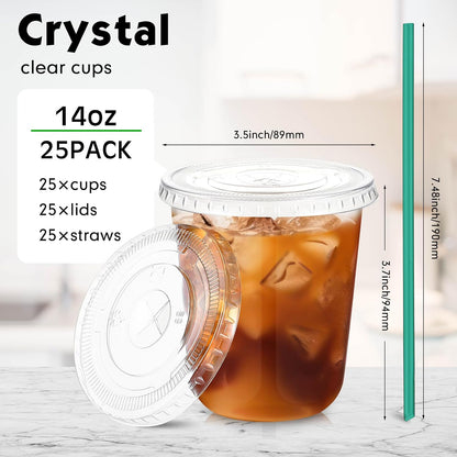 Baderke 25 Set Plastic Cups with Lids and Straws, Disposable Plastic Iced Coffee Cup for Cold Beverage Juice Smoothie Crystal for Coffee Shops Party Catering(Clear,16 oz)