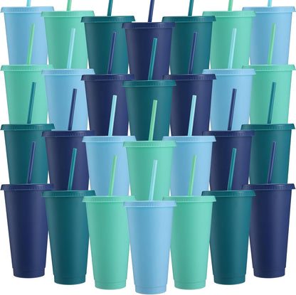 Honeydak 15 Pack Tumbler with Straw and Lid Bulk Cups for Gifts Water Bottle Iced Coffee Travel Mug Cup Reusable Plastic Tumblers for Party Birthdays 24-27 oz (Solid Color)