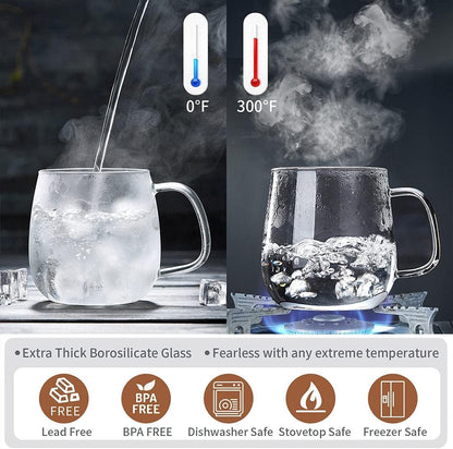 DOPUDO Glass Tea Cup with Infuser and Lid, 17.6oz/520ml Large Borosilicate Teacup,Tea Glass, Clear Mug for Loose Leaf Tea, Blooming Tea, Microwave & Dishwasher Safe - Tea Maker Gift for Birthday.