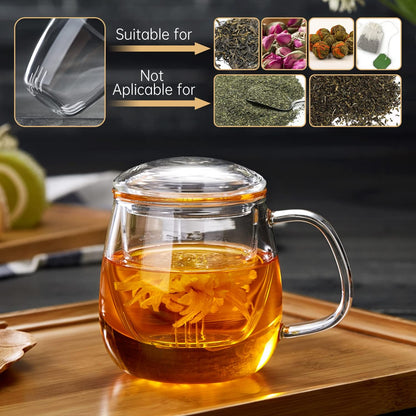DOPUDO Glass Tea Cup with Infuser and Lid, 17.6oz/520ml Large Borosilicate Teacup,Tea Glass, Clear Mug for Loose Leaf Tea, Blooming Tea, Microwave & Dishwasher Safe - Tea Maker Gift for Birthday.