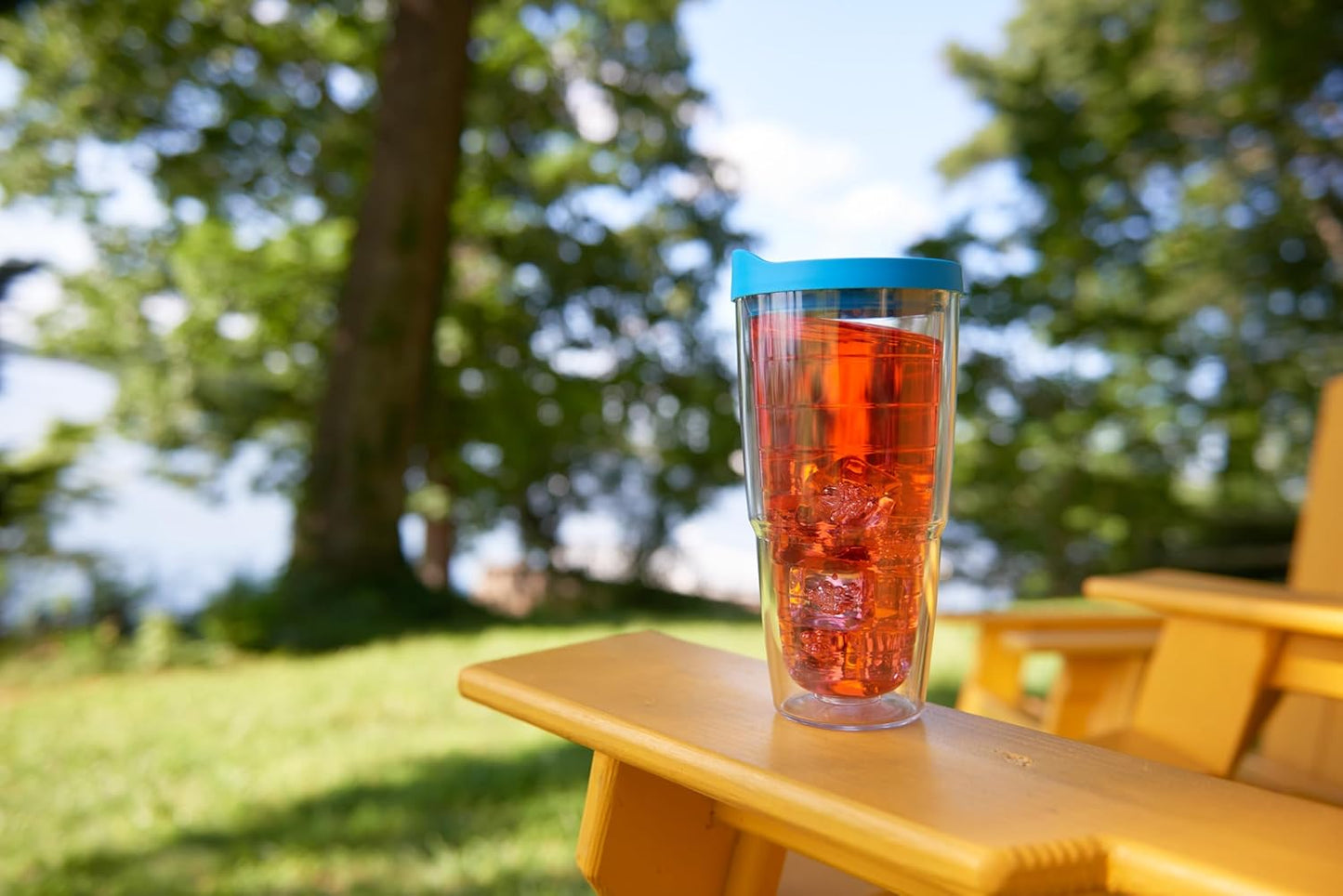 Tervis Clear & Colorful Lidded Made in USA Double Walled Insulated Tumbler Travel Cup Keeps Drinks Cold & Hot, 24oz, Black Lid, 1 Count (Pack of 1)