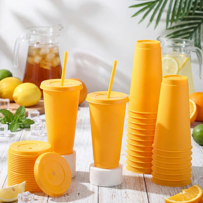 Honeydak 15 Pack Tumbler with Straw and Lid Bulk Cups for Gifts Water Bottle Iced Coffee Travel Mug Cup Reusable Plastic Tumblers for Party Birthdays 24-27 oz (Solid Color)