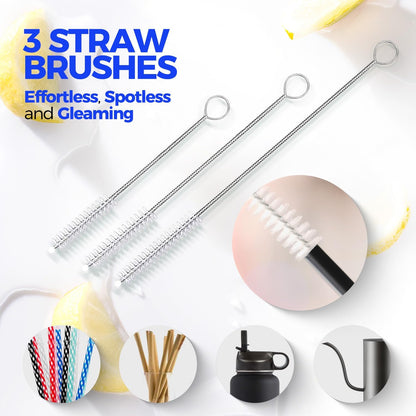 Holikme 6 Pack Bottle Brush Set, 14" Long Handle Stainless Steel Bottle Cleaner Brush, 3 Straw Brushes, 4-in-1 Bottle Cleaning Brush for Water Bottle, Antistatic Lab Brushes Straws, Black