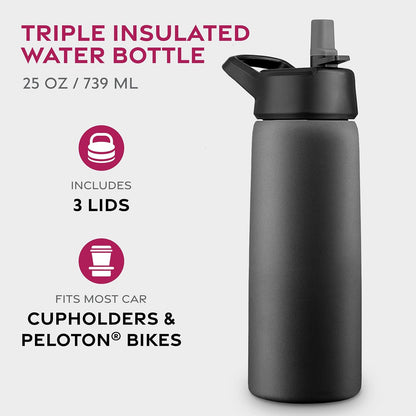FineDine Water Bottle - Stainless Steel Insulated Water Bottle with Straw Lid, Flip Lid & Wide-Mouth Cap - Keeps Hot and Cold - 25 Oz / 739ml - Dreamy Purple
