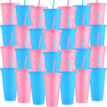 Honeydak 15 Pack Tumbler with Straw and Lid Bulk Cups for Gifts Water Bottle Iced Coffee Travel Mug Cup Reusable Plastic Tumblers for Party Birthdays 24-27 oz (Solid Color)
