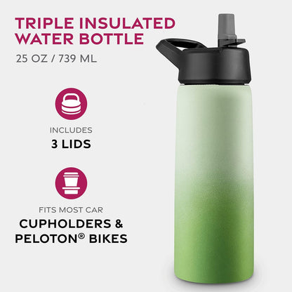 FineDine Water Bottle - Stainless Steel Insulated Water Bottle with Straw Lid, Flip Lid & Wide-Mouth Cap - Keeps Hot and Cold - 25 Oz / 739ml - Dreamy Purple