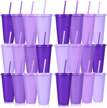 24 Pack Plastic Tumblers with Lids and Straw, Reusable Cups with Lids and Straws Colorful Cups for Cold Drink Iced Coffee, Plastic Tumbler Bulk for Party Birthday Gifts (24 oz, Stylish Colors)