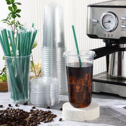 Baderke 25 Set Plastic Cups with Lids and Straws, Disposable Plastic Iced Coffee Cup for Cold Beverage Juice Smoothie Crystal for Coffee Shops Party Catering(Clear,16 oz)