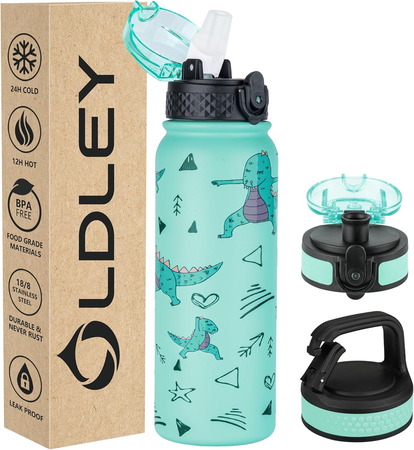 Oldley Insulated Water Bottle 20oz for Adults Kids Stainless Steel Water Bottles with Straw/Chug/Carabiner 3 Lids Fruit Strainer Double Wall Vacuum Wide Mouth BPA Free Leak-Proof for School Travel