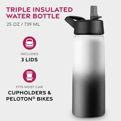 FineDine Water Bottle - Stainless Steel Insulated Water Bottle with Straw Lid, Flip Lid & Wide-Mouth Cap - Keeps Hot and Cold - 25 Oz / 739ml - Dreamy Purple