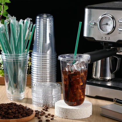 Baderke 25 Set Plastic Cups with Lids and Straws, Disposable Plastic Iced Coffee Cup for Cold Beverage Juice Smoothie Crystal for Coffee Shops Party Catering(Clear,16 oz)
