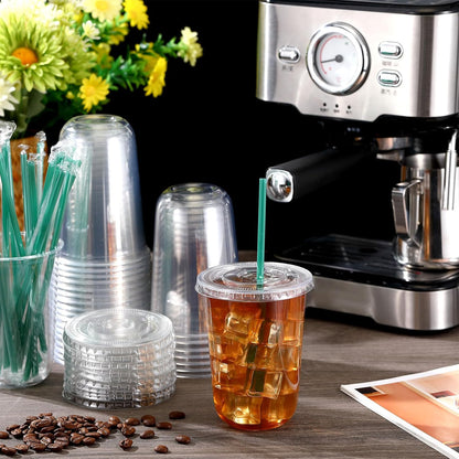 Baderke 25 Set Plastic Cups with Lids and Straws, Disposable Plastic Iced Coffee Cup for Cold Beverage Juice Smoothie Crystal for Coffee Shops Party Catering(Clear,16 oz)