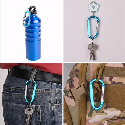 CampTek Carabiner Caribeaner Clip,3" Large Aluminum D Ring Shape Carabeaner with Keyring Keychain Hook