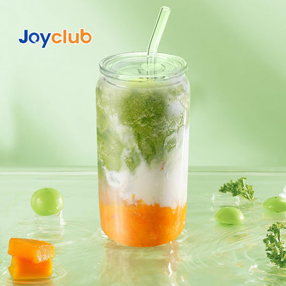 Joyclub 8pcs 16 oz Glass Cups with Acrylic Lids and Straws Can Shaped Iced Coffee Glasses Cute Tumbler Set Drinking Jars for Smoothie Soda Boba Beer Party Housewarming Gifts
