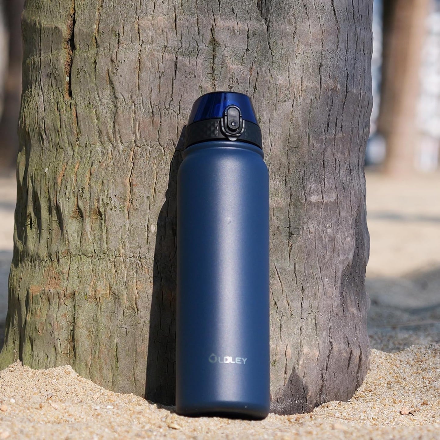 Oldley Insulated Water Bottle 20oz for Adults Kids Stainless Steel Water Bottles with Straw/Chug/Carabiner 3 Lids Fruit Strainer Double Wall Vacuum Wide Mouth BPA Free Leak-Proof for School Travel